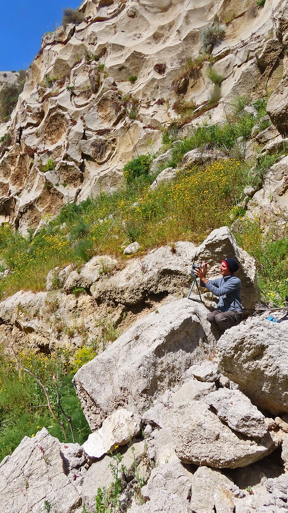 Sicily: Provisional final report from the Bonelli's Eagle pr